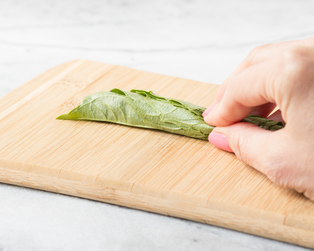 Basil leaves rolled lengthwise 